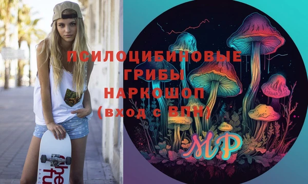 бошки Осташков