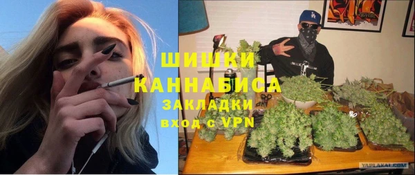 mdpv Гатчина