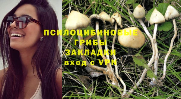 эйфоретик Осинники