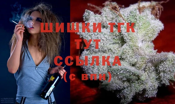 молекула духа Гвардейск