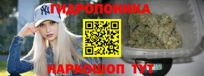 стафф Дубна