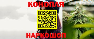 стафф Дубна