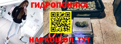 стафф Дубна