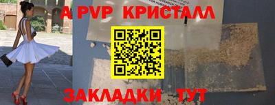 стафф Дубна