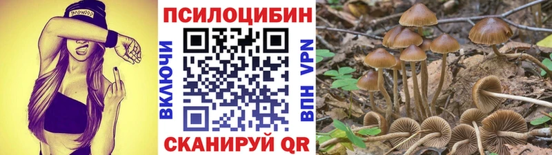 Псилоцибиновые грибы мицелий  купить наркотики цена  Сертолово 